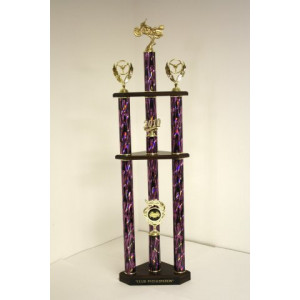 Multi Column Trophy #12