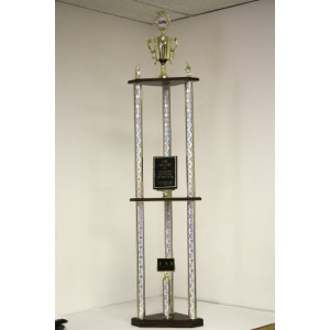 Multi Column Trophy #13