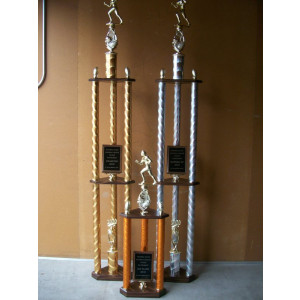 Multi Column Trophy #5